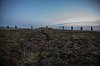 Ring of Brodgar