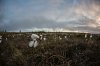 Ring of Brodgar