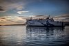 Stromness Hamnavoe Ferry